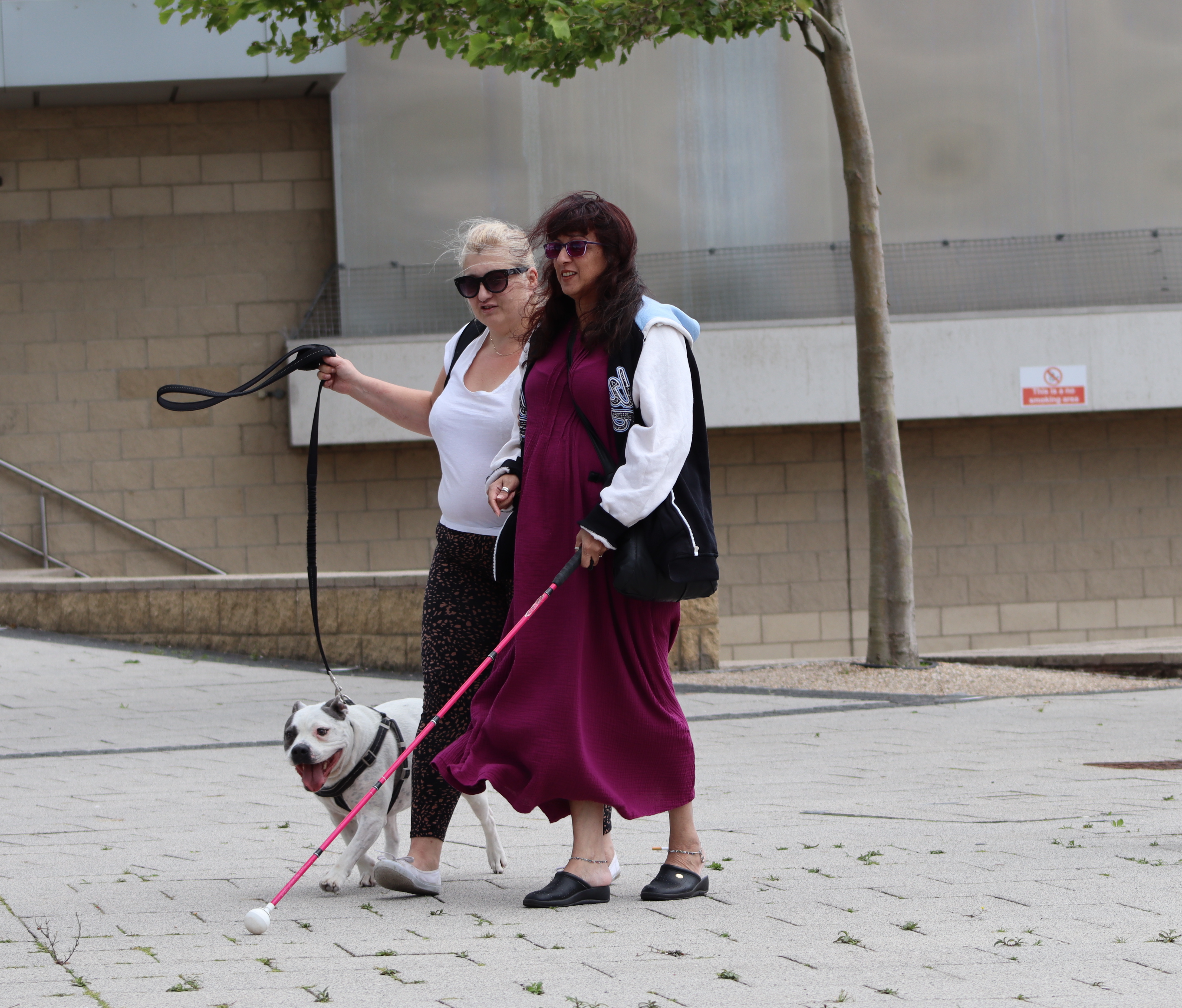 Photograph of two women walking arm in arm along the pavement. The woman on the left is blonde and holds the lead for a white dog and the woman on the right has brown hair, wears a magenta dress and is holding a pink cane. They both wear sunglasses.