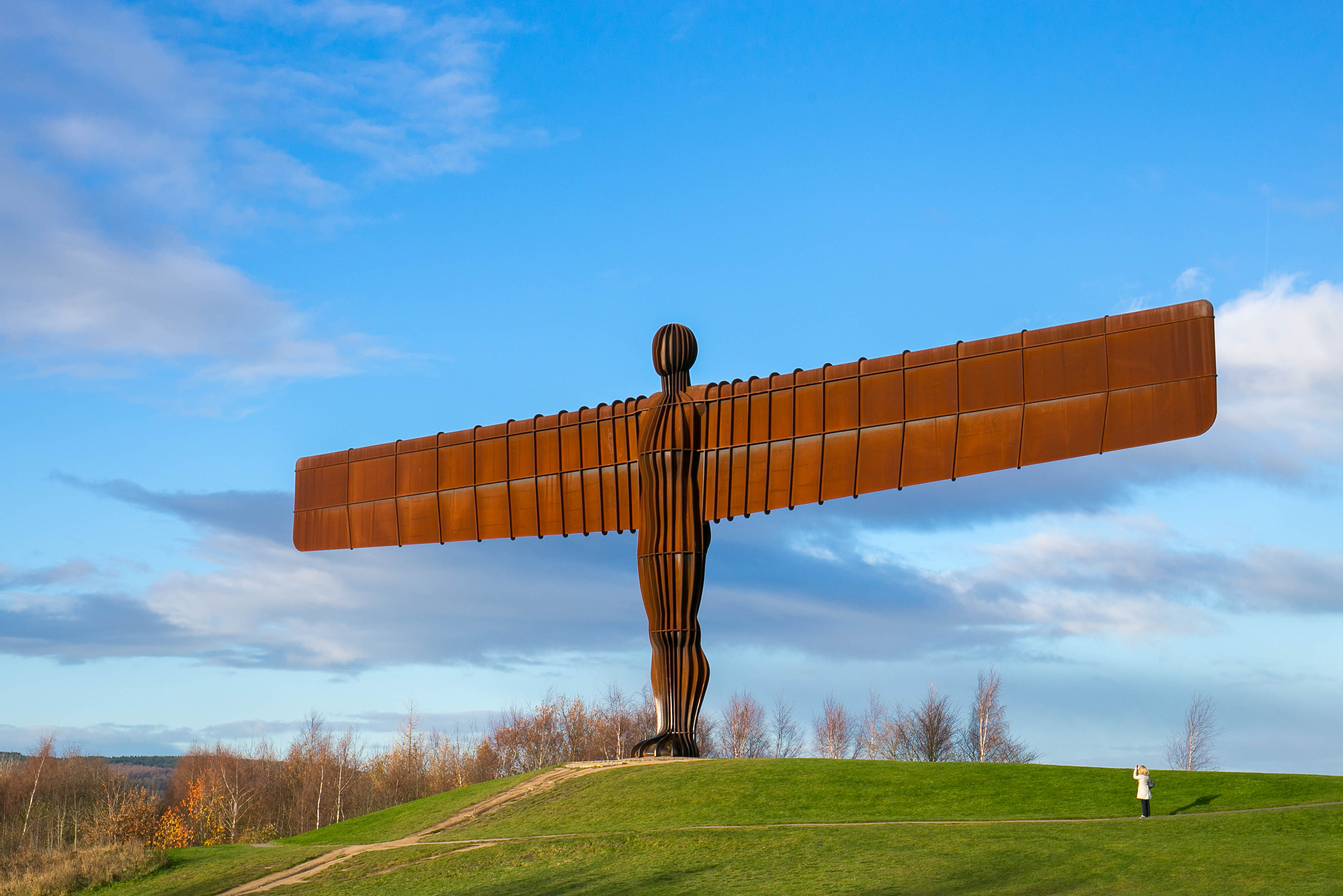 An image of the Angel of the North. It stands upright in a field in day time above the fields and trees.
