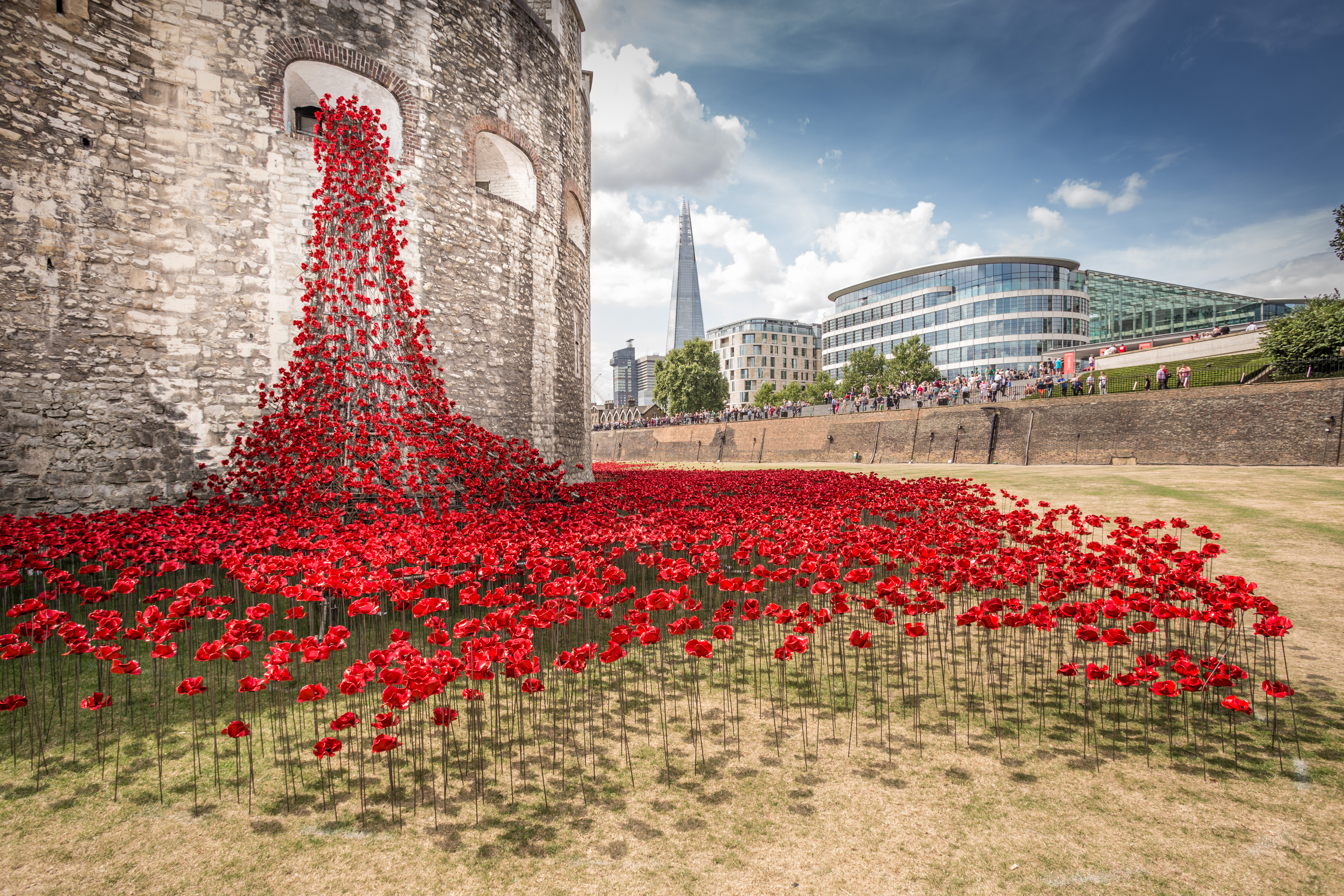 Photograph of installation by Paul Cummings and Tom Piper at the Tower of London in 2014. Thousands of red ceramic poppies adorn the  towers, sweeping across the ground.